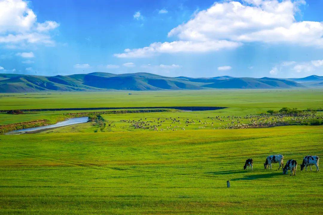 中国四大草原之一,绿草如茵,牧人策马,繁花似锦的典型草原重现风吹草