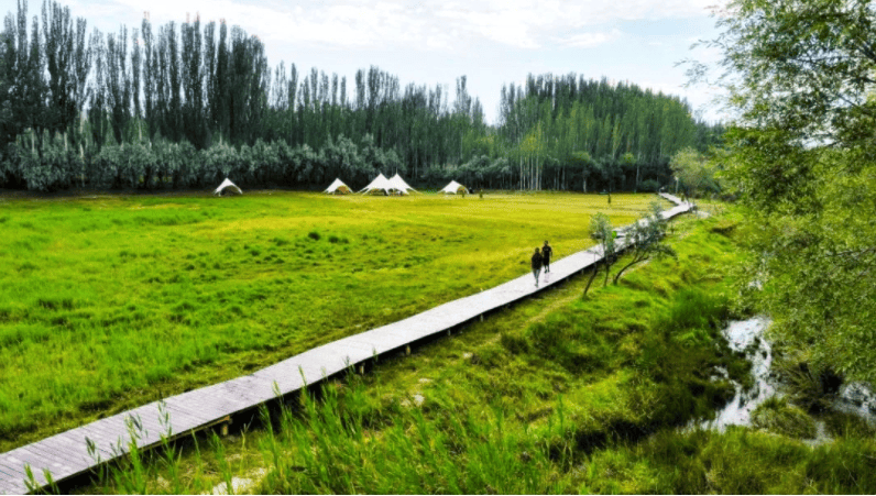 【文旅动态】阿图什市乡村旅游度假村成为休闲“新宠”_游客_果勒村_星空
