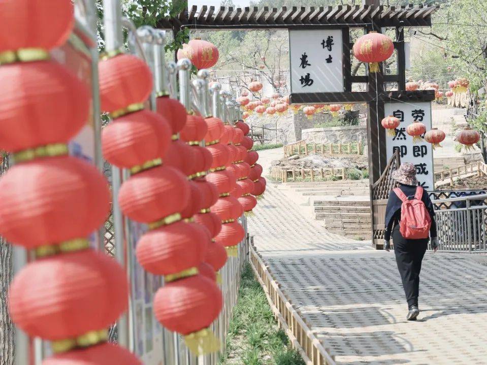 保津房合力谋发展,三地绘就乡居民宿产业新蓝图