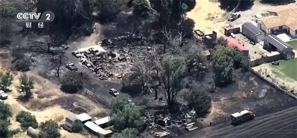 美国加州发生林草火灾 过火面积已超5000公顷_部门_大火_天气