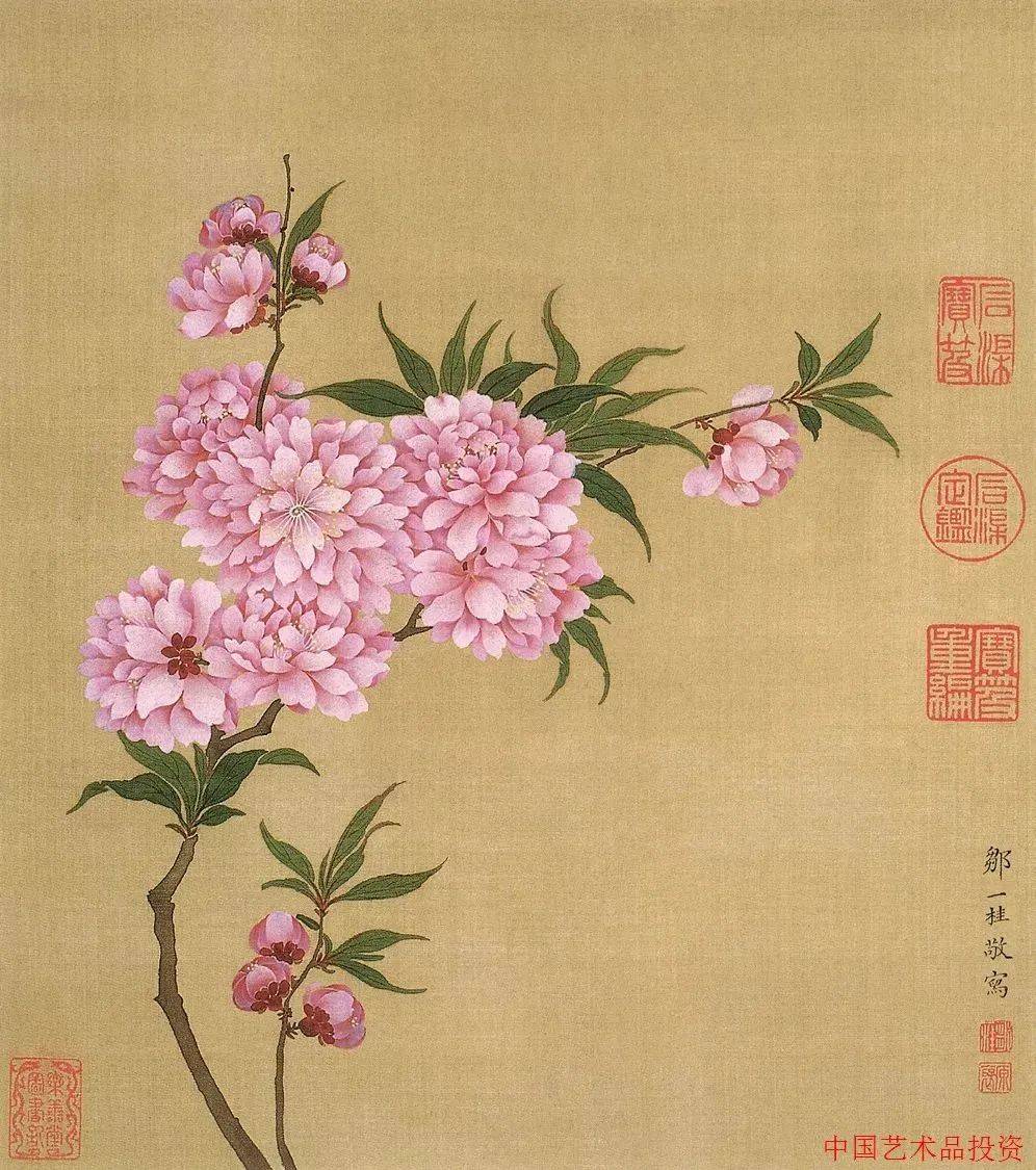 今天我们臻选76幅历代没骨花鸟高清图与大家分享,希望朋友们喜欢.