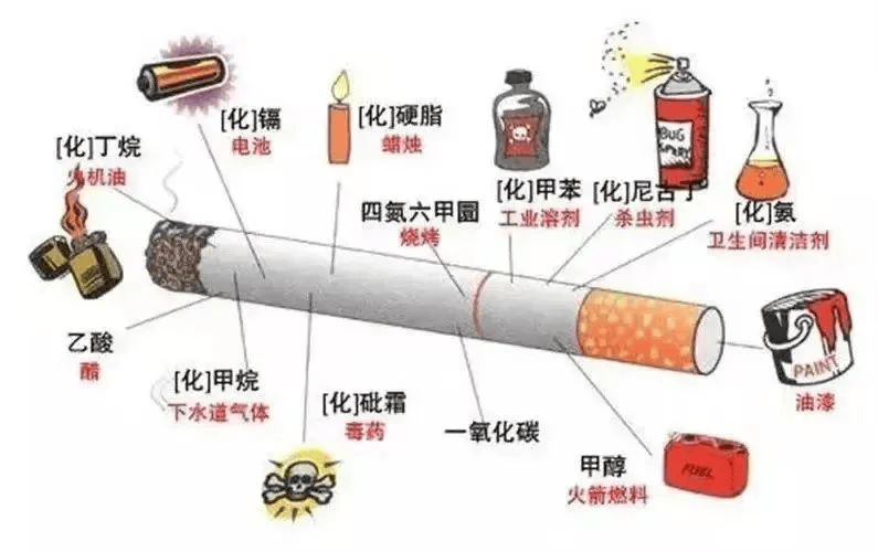 烟草的成分图片