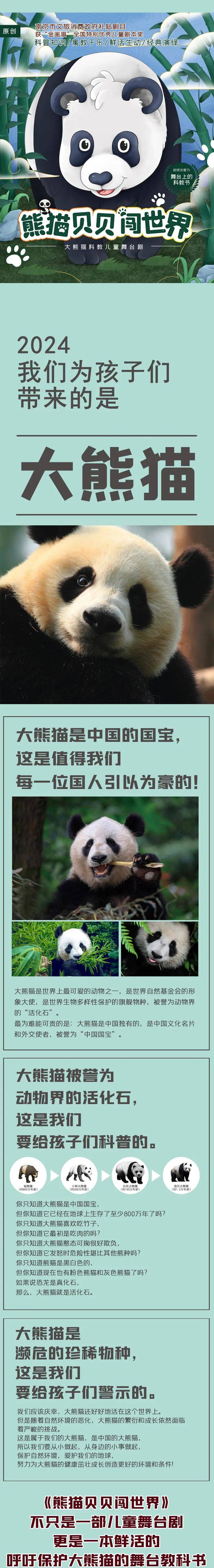 熊猫贝贝专栏图片