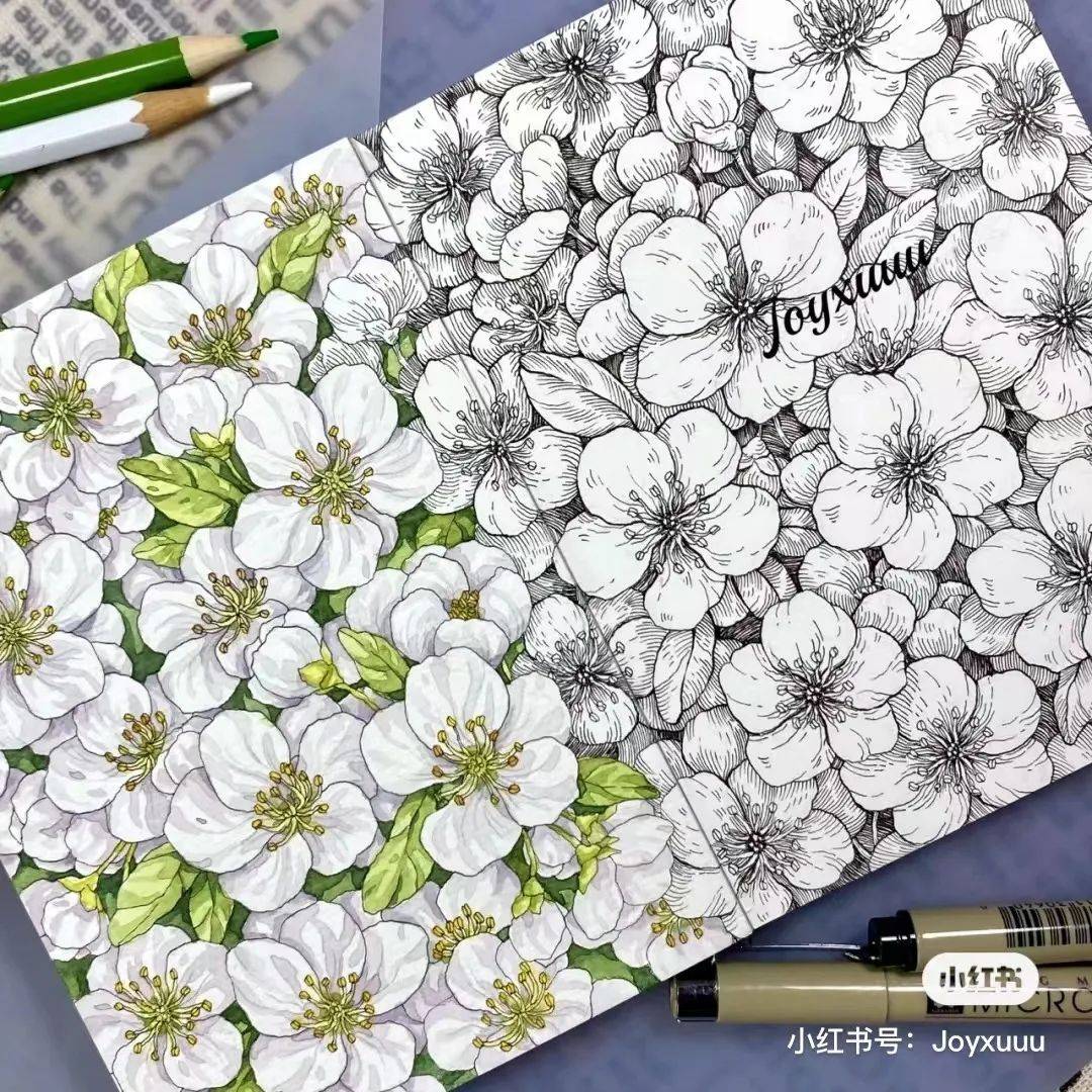 尽量去画精准一些,可以用铅笔多画一画草稿图.