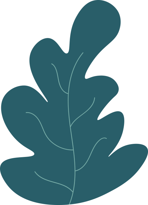 【安庆中学·活动】"城乡少先队员手拉手·宝贝出村"研学活动