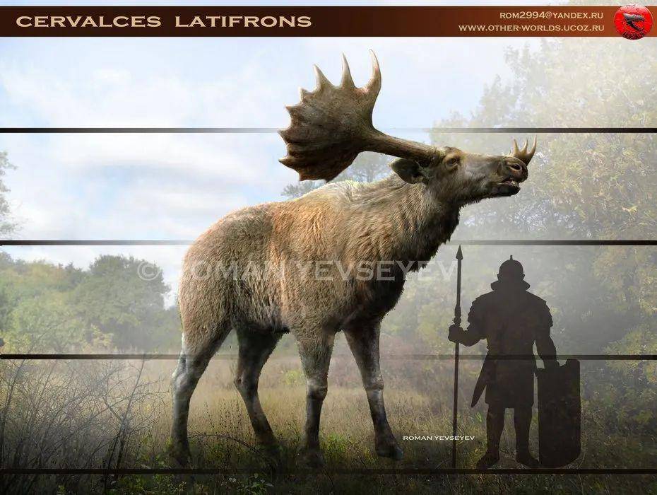 【冰河巨兽】史上第一巨鹿原来是它!