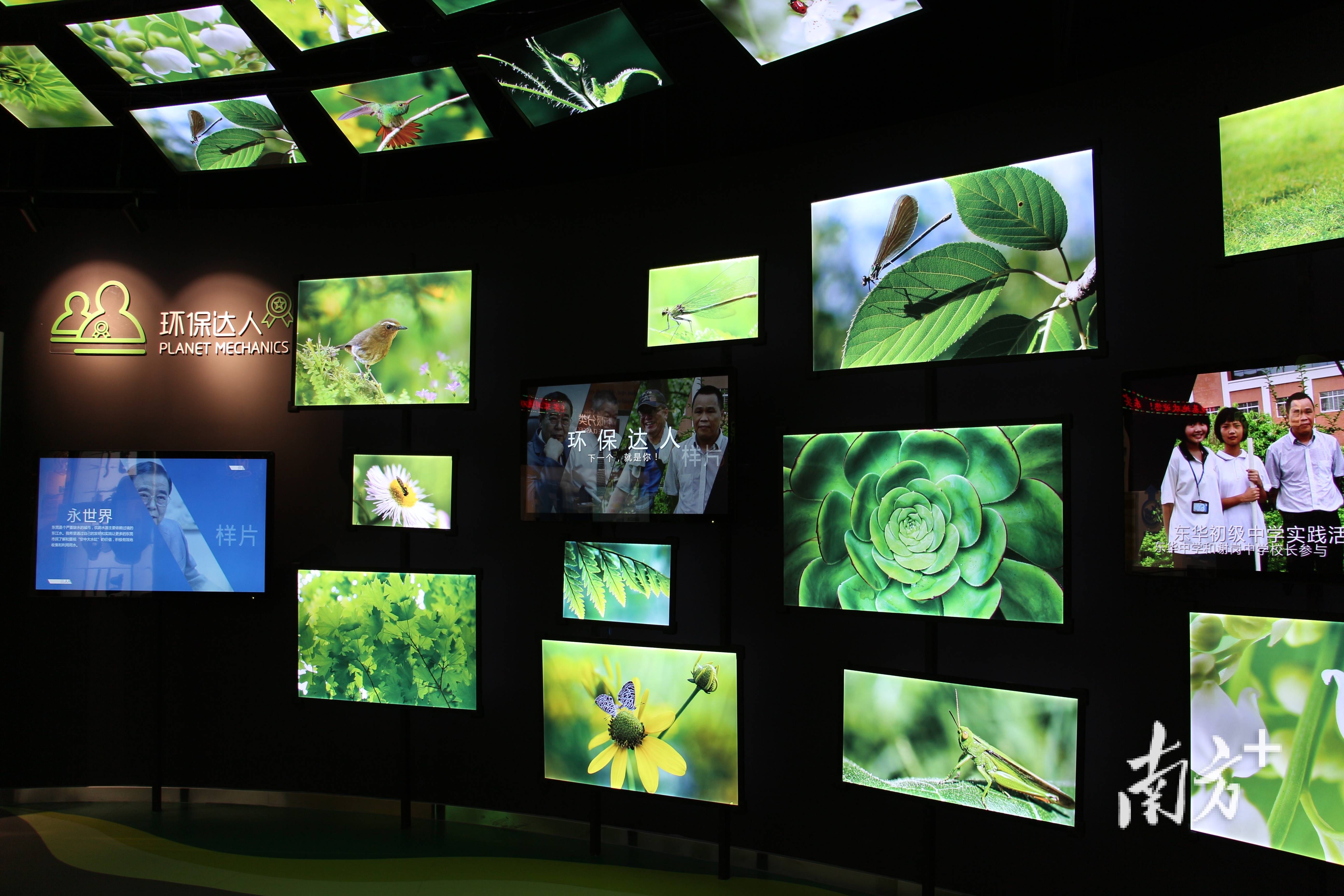 世界环境日|逐"绿"而行,东实环境助力绿美东莞建设