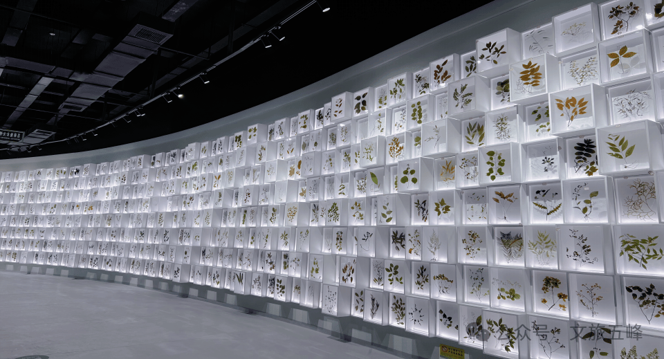 的相遇武陵山(湖北)动植物标本馆楚香体验馆陈许腱 摄非遗传承展示馆