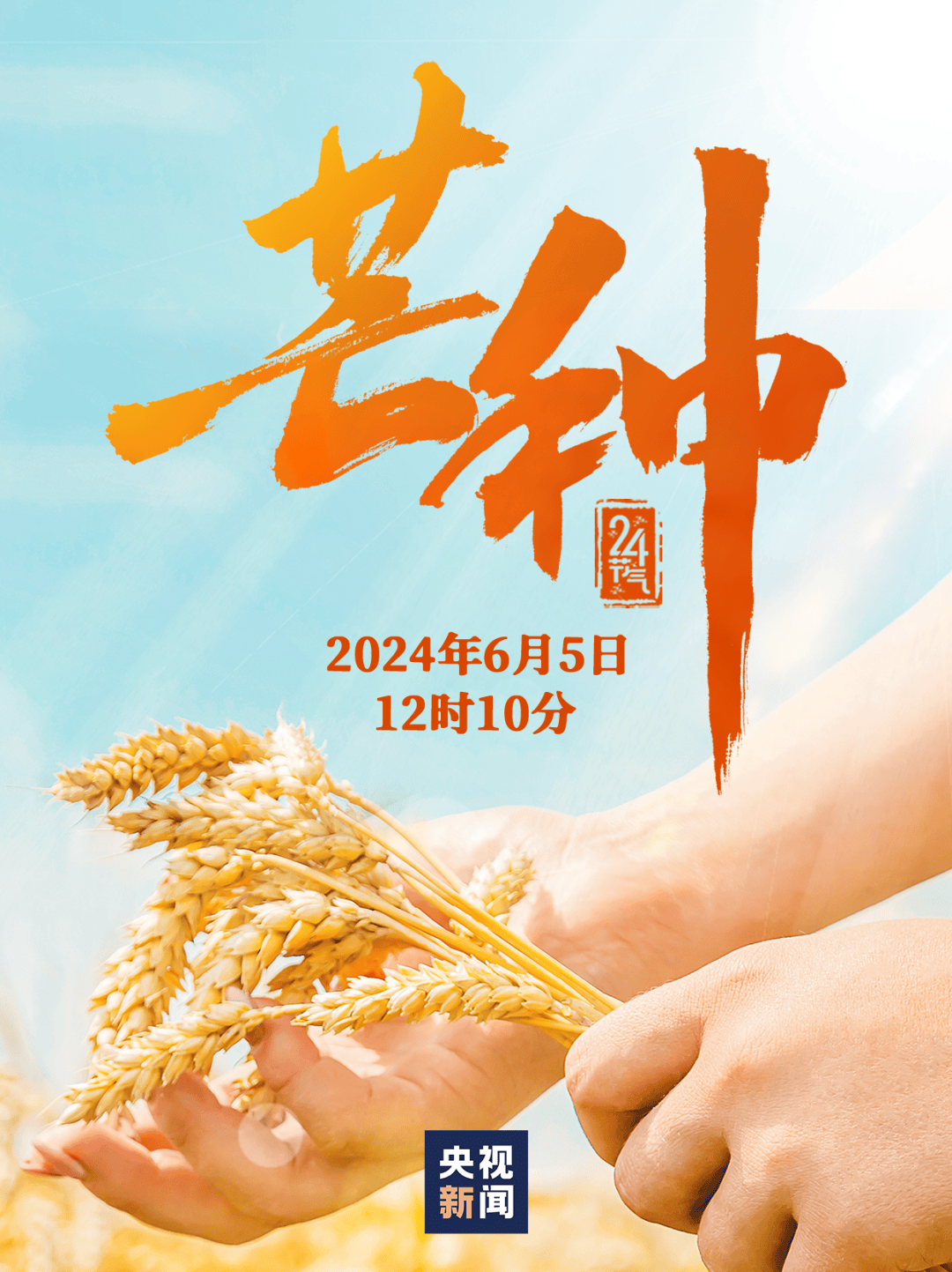 今日芒种,种下希望!