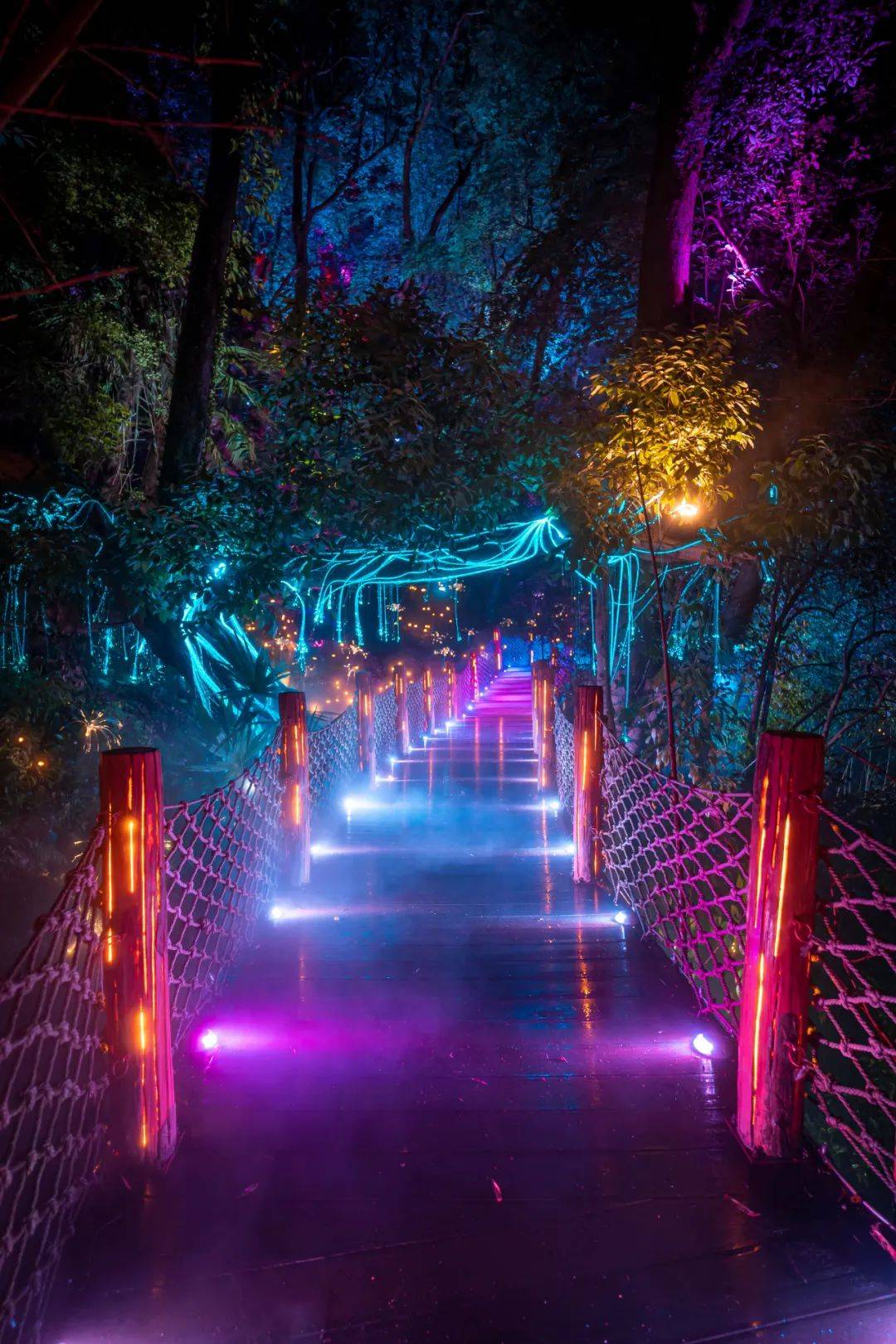 篁岭夜游,升级重启!(内含夜游优惠政策)