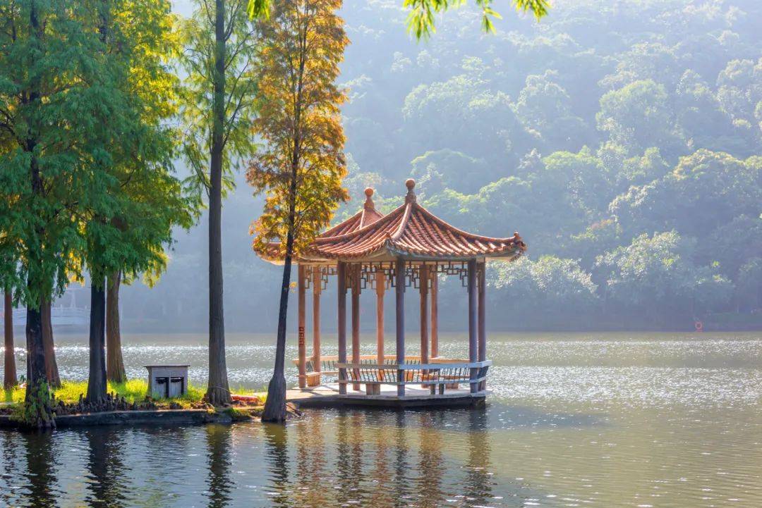 机票8元,网友:想低调真的很难.