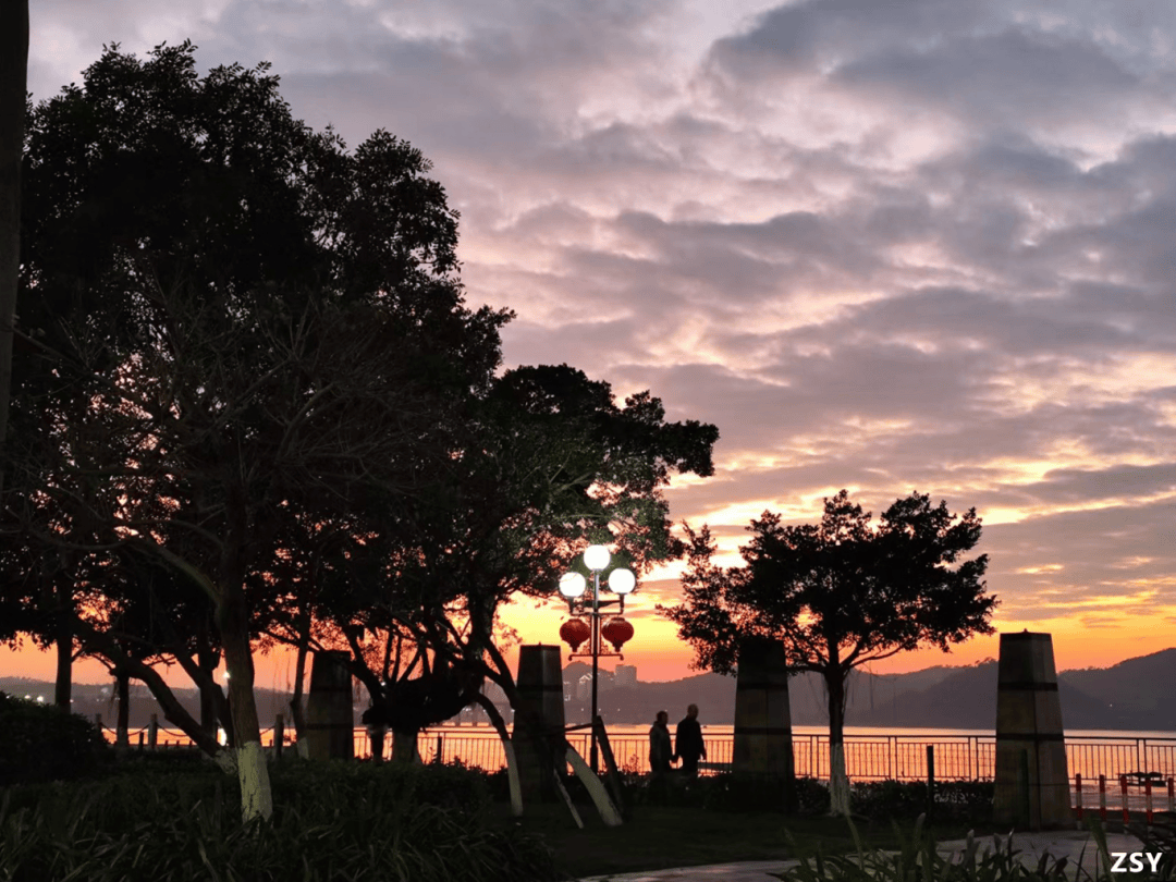 西湾城市沙滩:夏日傍晚的欢乐集结地,尽享"家门口"的海滨乐趣