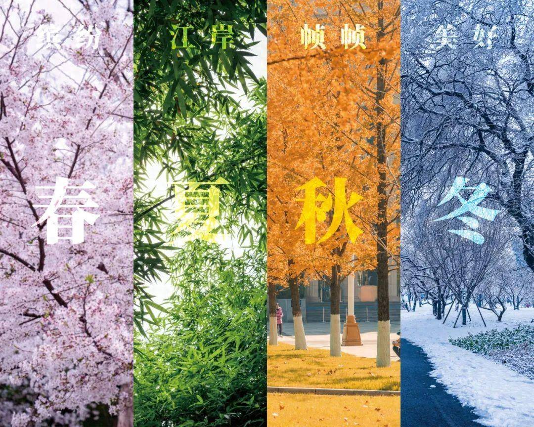 「高考季」请乘理想之马,挥鞭从此启程