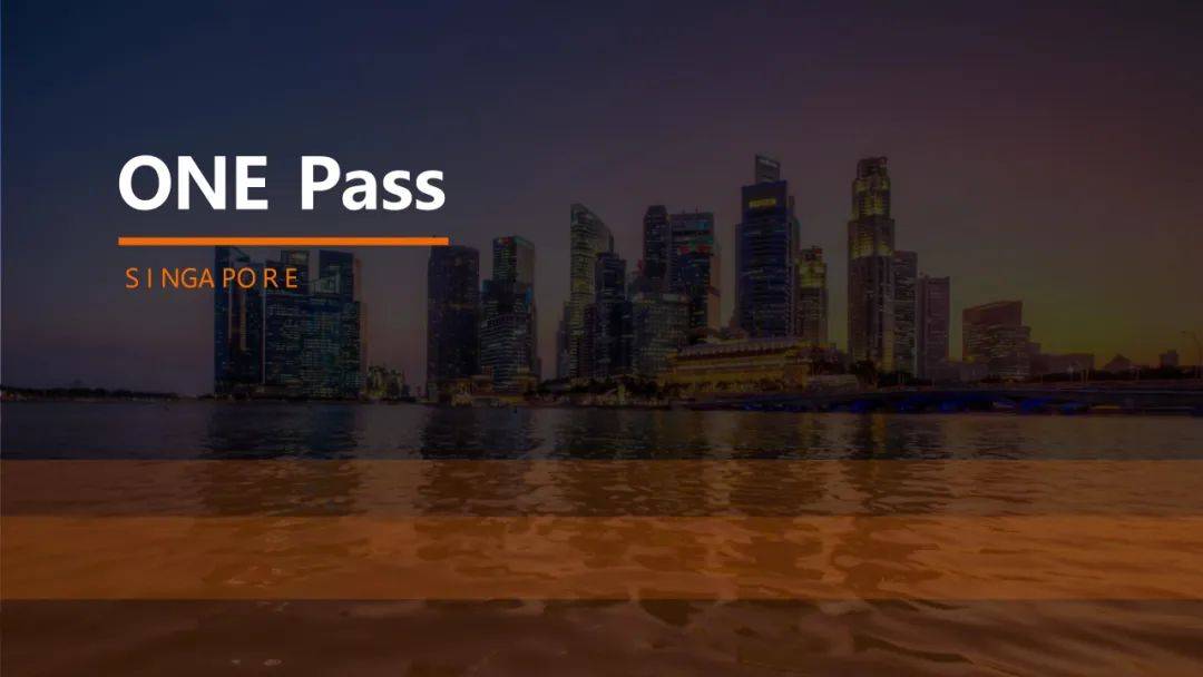 新加坡顶级专才准证(one pass)