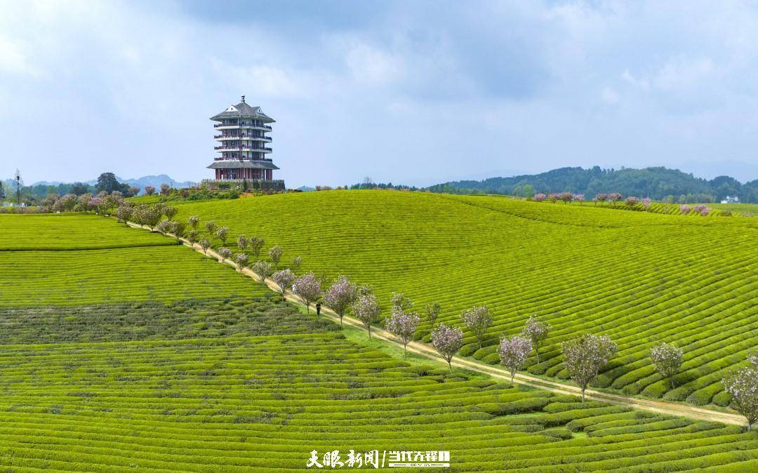 位于湄潭县永兴镇的中国茶海景区永兴是有底气的.