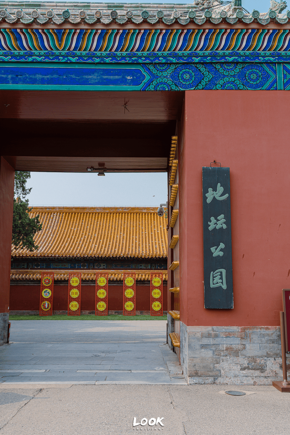“ 我在地坛，看到海了 ”