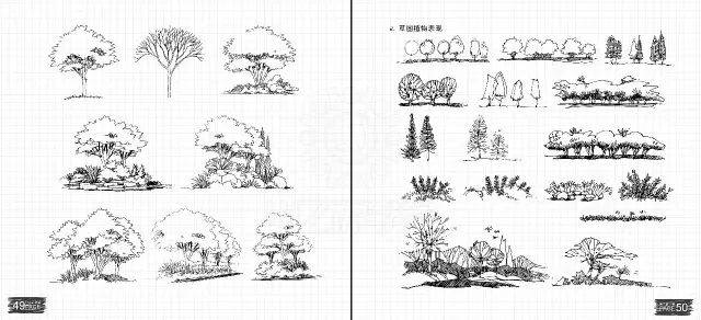 《园林景观植物造景元素》!看了就会