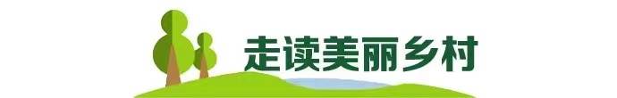 乡村周记 | 单日6万游客涌入"中国李乡"信宜;普宁