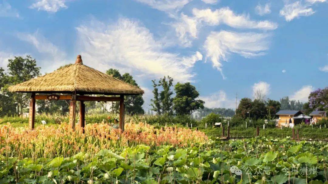 多彩非遗游桤木河湿地公园享受天府农耕文明巴蜀文化非遗传承美丽风景