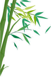 汉中交警发布2024年端午节假期出行指南