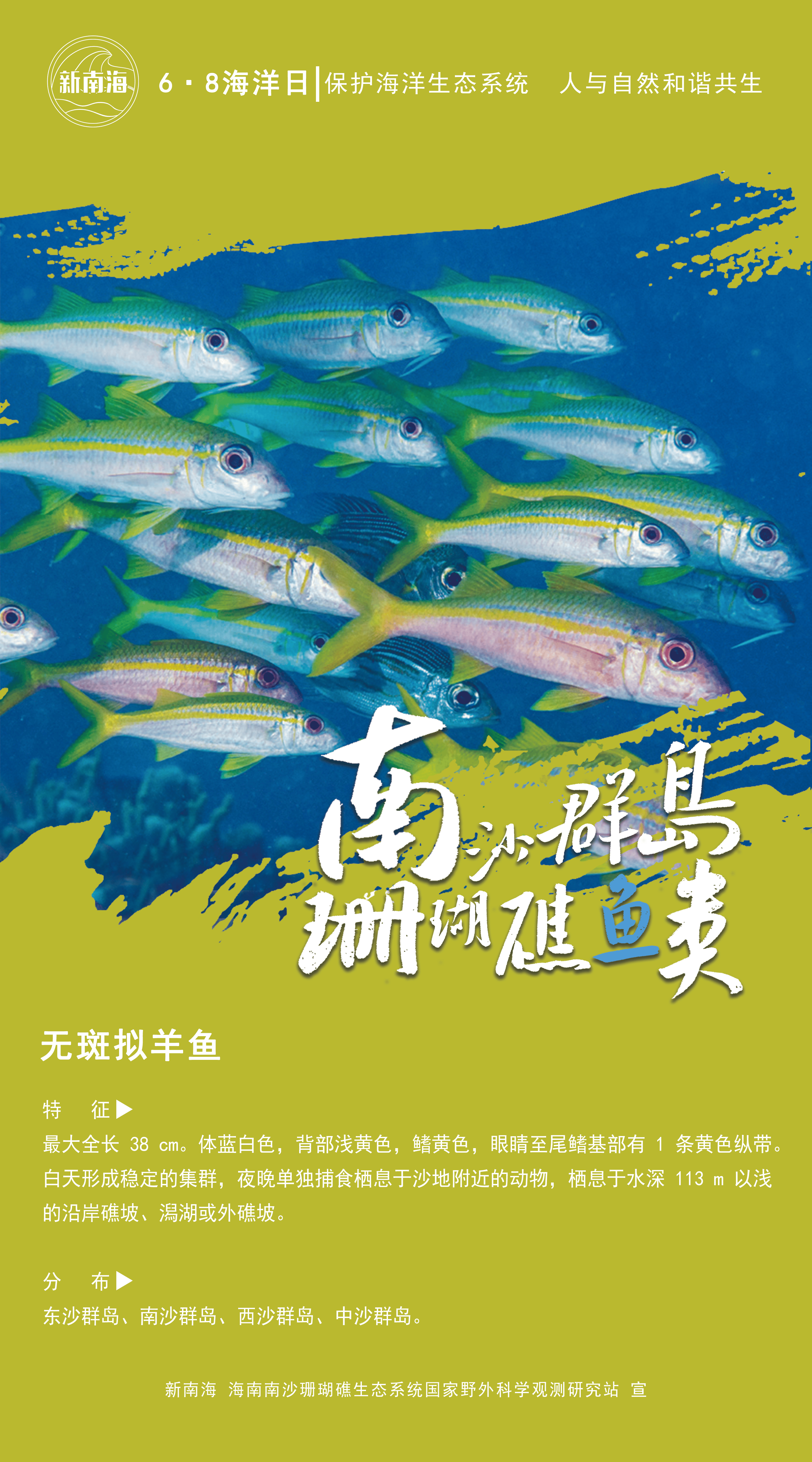 南沙群岛珊瑚礁有多少种鱼?一组海报带你认识!|世界海洋日