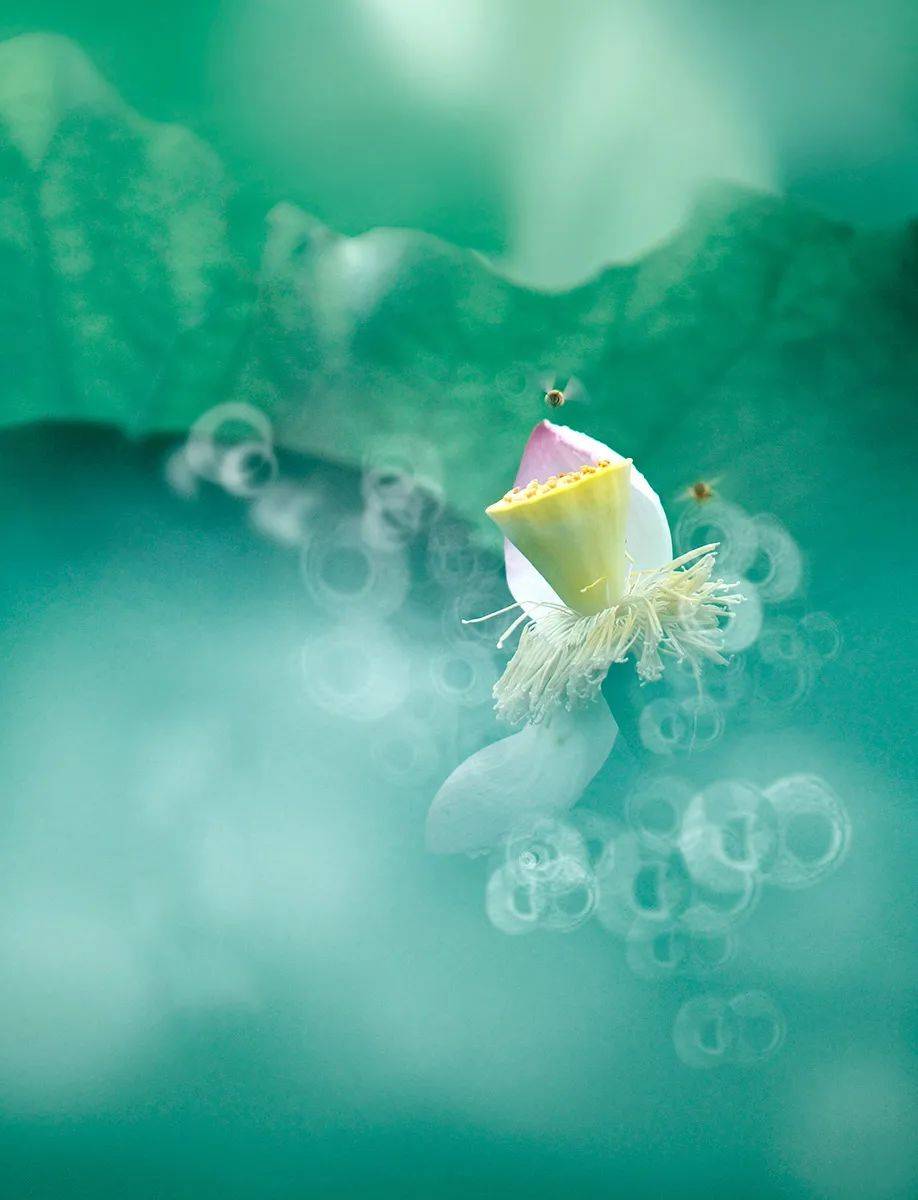 余生,找一个惦记你的人!