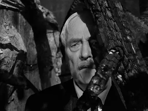 和他们合作,是伯格曼的幸运_尼科维斯特_贡纳·费舍尔_电影