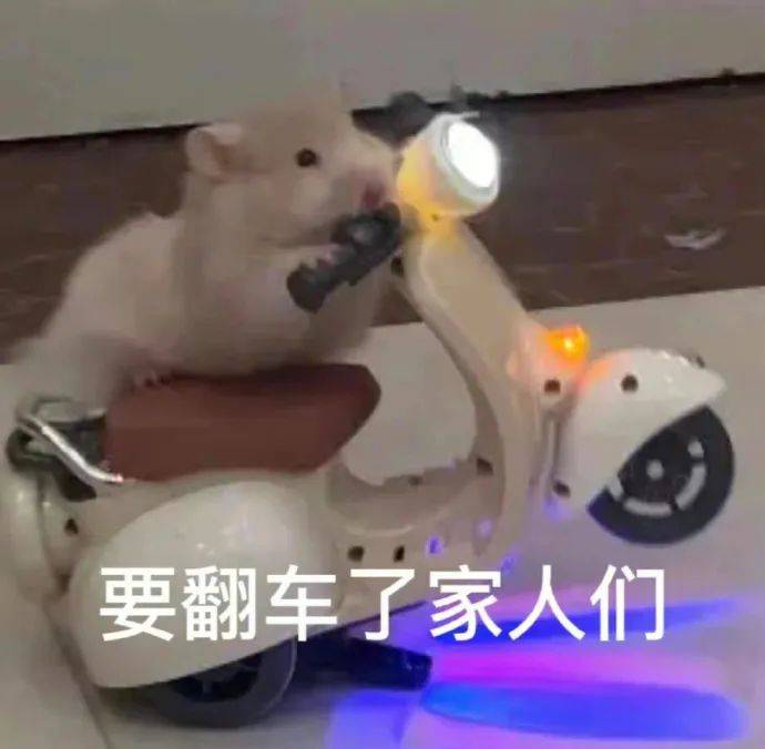 沙雕搞笑表情包:给家人们整笑了