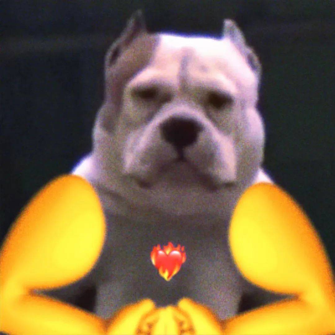 沙雕搞笑表情包:给家人们整笑了