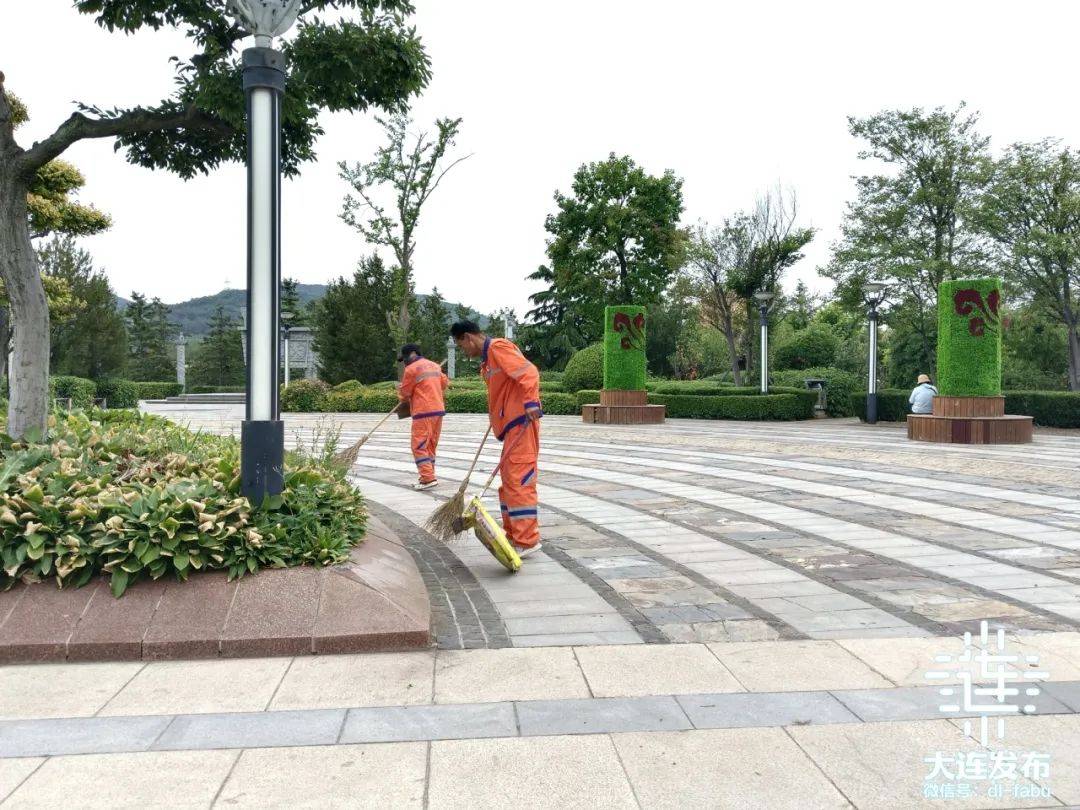 绿化养护人员为绿化带修剪塑型,草坪绿地定时浇水,还新建了我爱大连