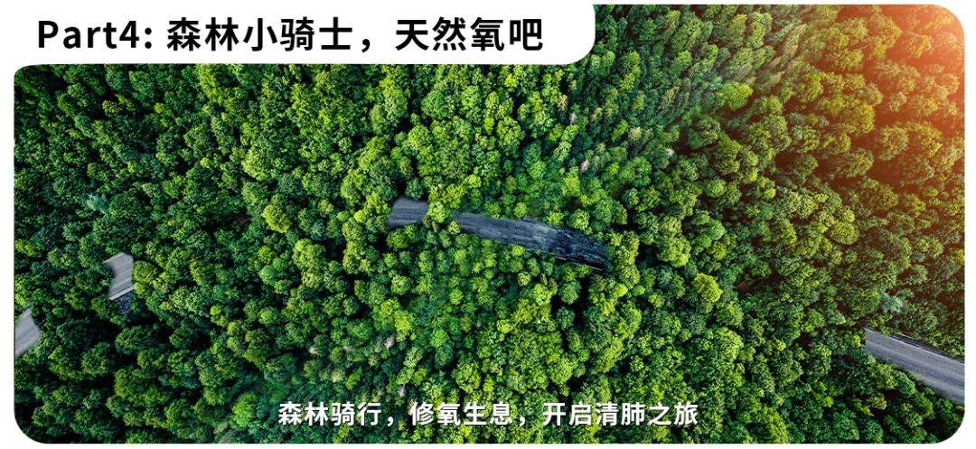2024小兴安岭亲子夏令营 | 森林漂流 森林骑士 寻蜜