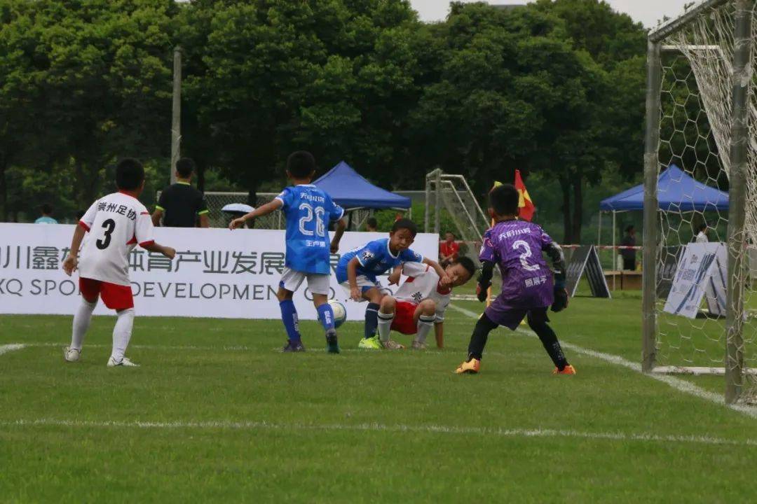四川省青少年体育联合会主办,四川省足球协会承办,成都市双流区文化