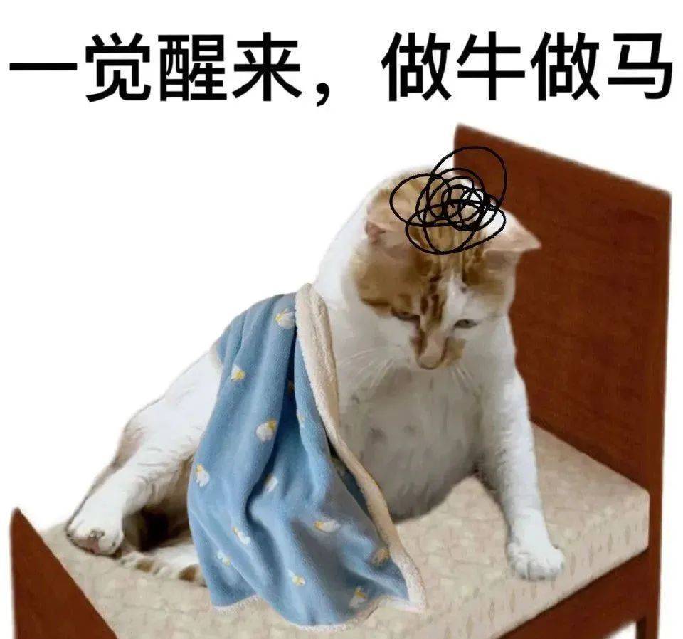 这表情包太雕了.