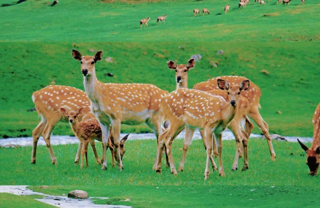 一次创造力推动世界的发展搬起大铁锅,在户外来一场不一样的美食大赛