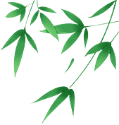【网络中国节·端午】端午节仪式感拉满 !他们这样过