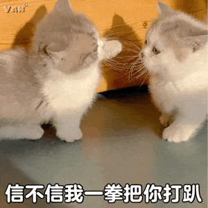 斗图聊天表情包:前排吃瓜