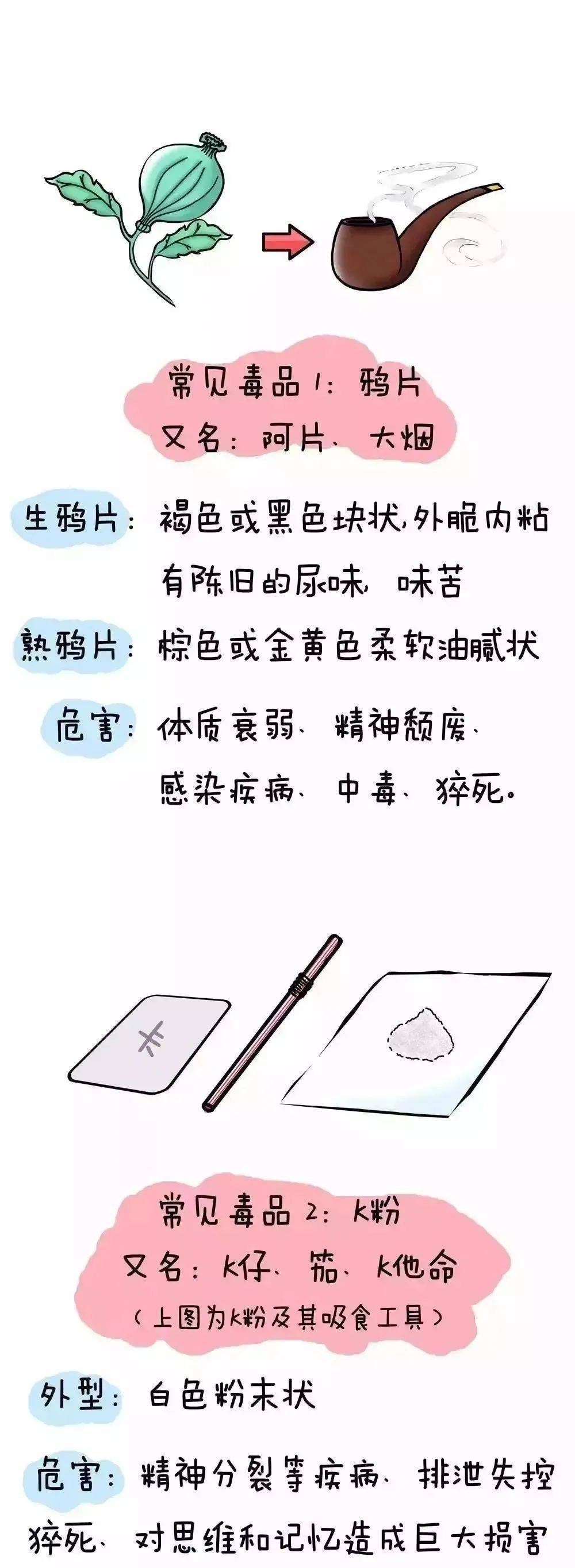 毒品有哪些 排名图片