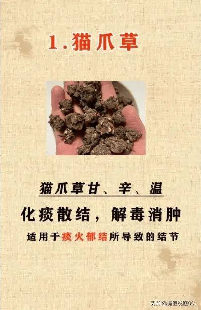 天然散结神器,6大中草藥让你告别结节烦恼!
