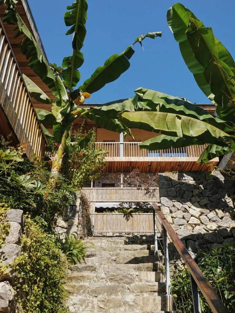 原舍·揽树山房:松阳体量最大的民宿疗休养接待点