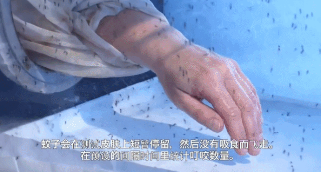 养了1000多代蚊子,难以想象这28年的研究.