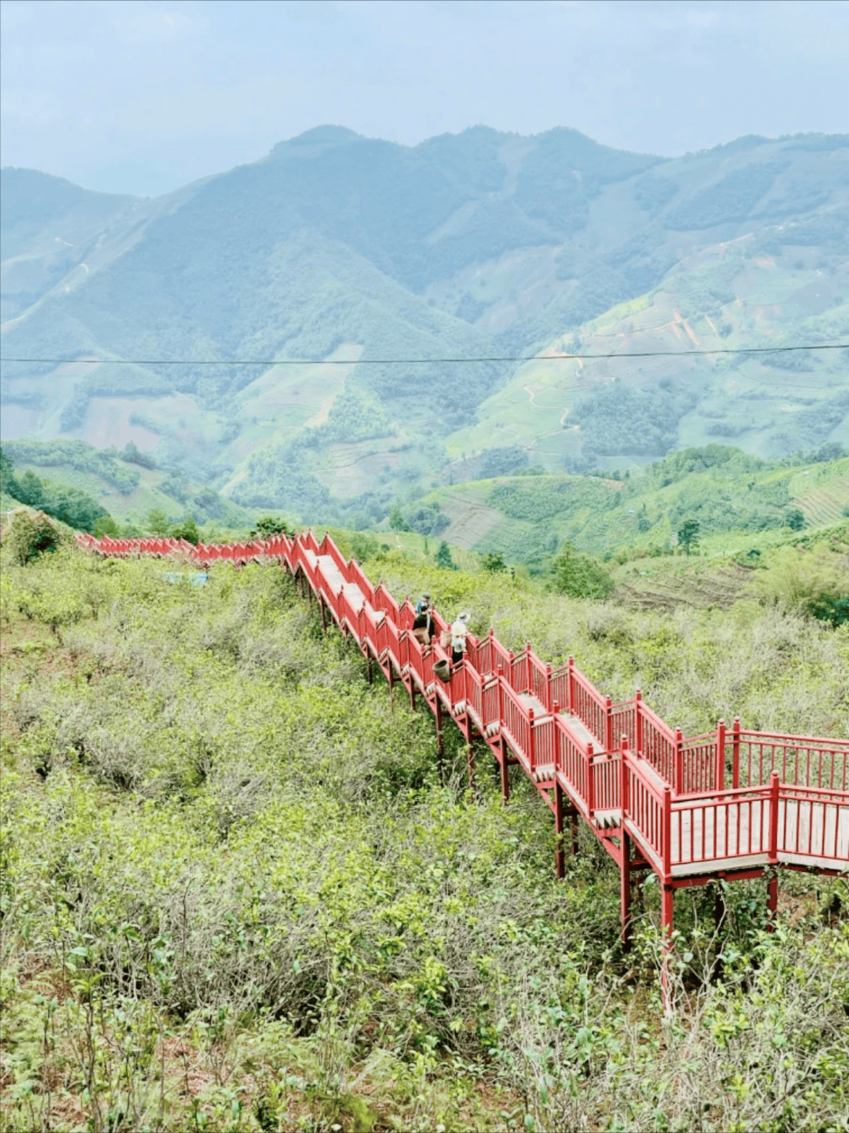 云品乐购走进昆明雄达茶城,助力云茶走向全国