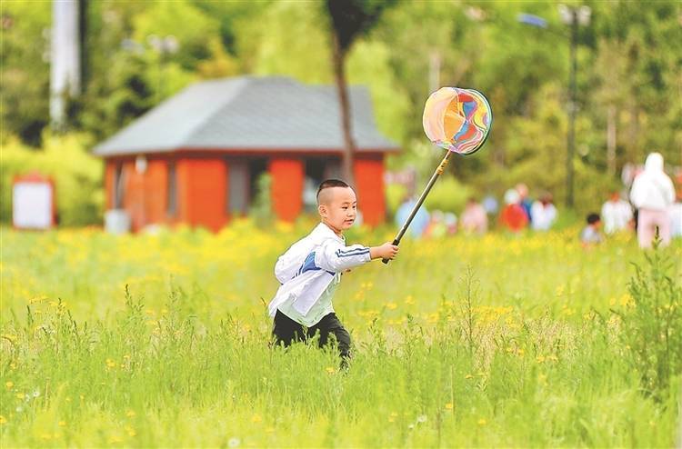 踏青氛围图片