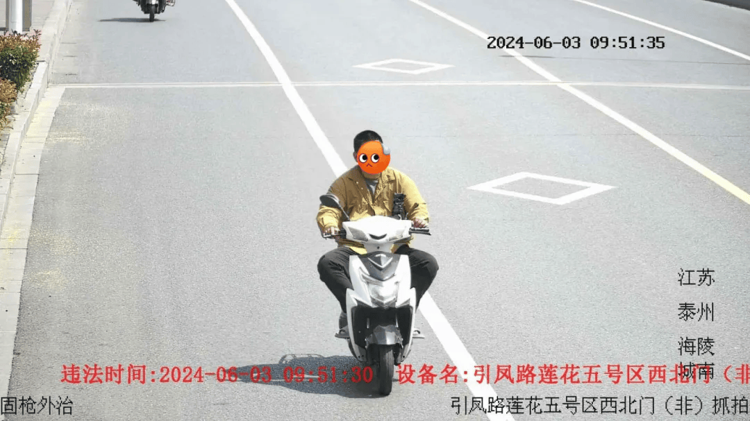 泰州严查