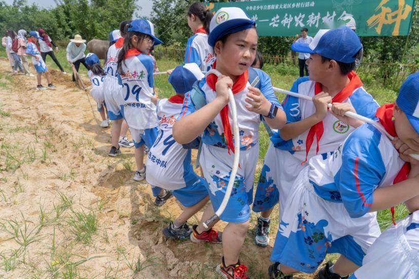 当芒种遇上端午 中外青少年一起体验中国文化