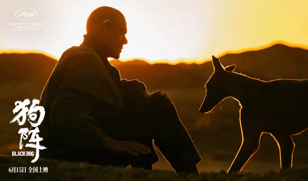 《狗阵》彭于晏与黑狗互相救赎"再上路"的生命力直击人心!