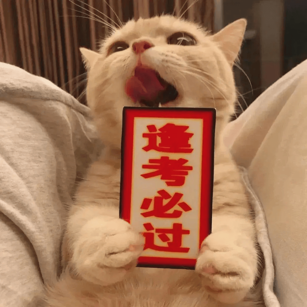 2024最新好运头像,祝你逢考必过,考的全会,蒙的全对!