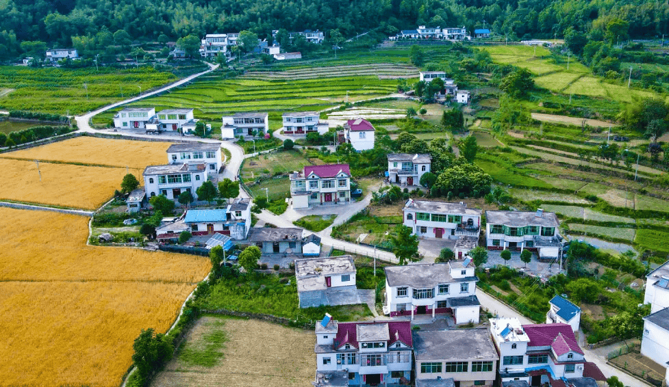 实力出圈!金寨这里的美景藏不住了