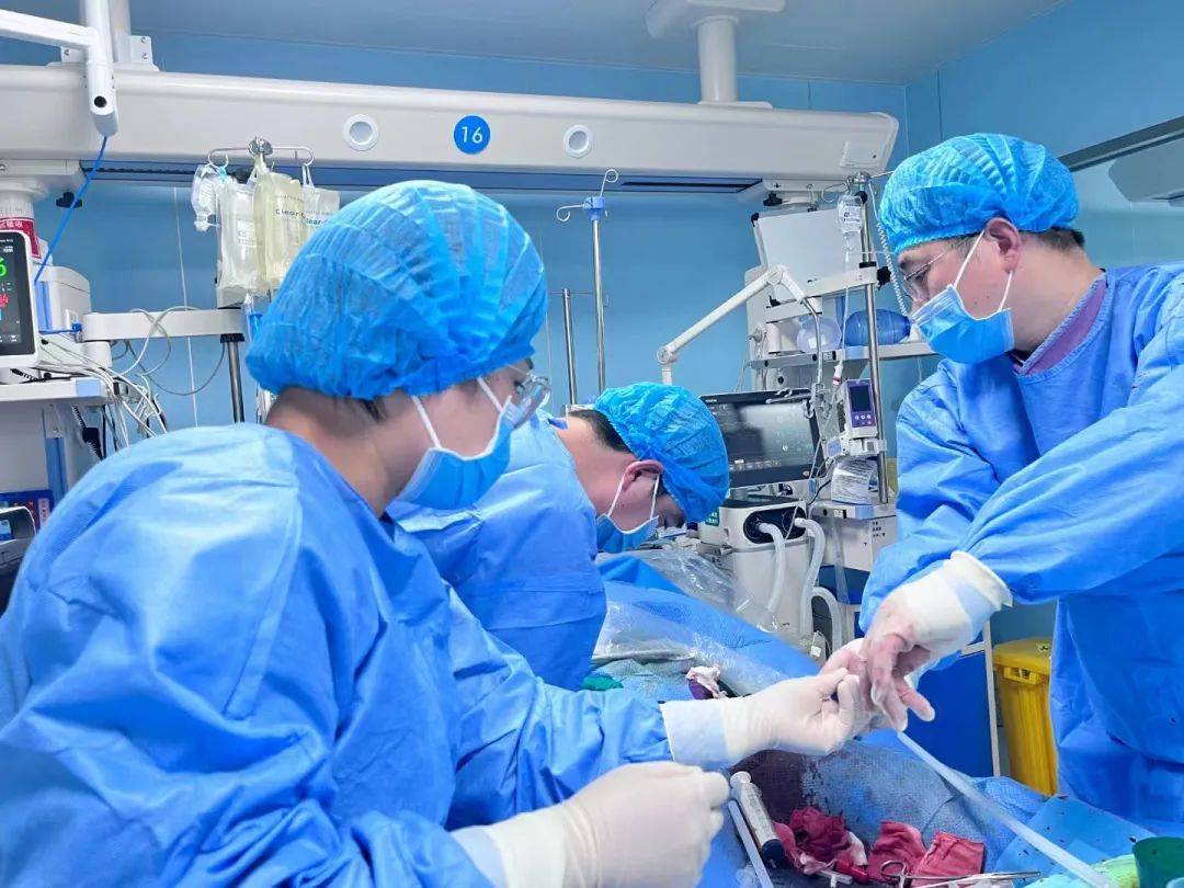 与死神赛跑 ecmo技术捕捉生命之光