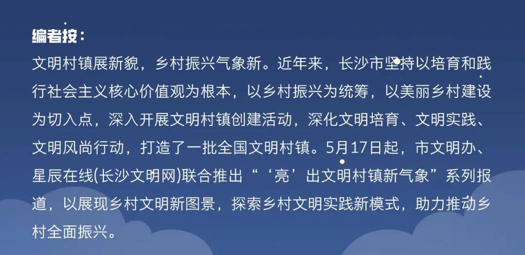 "亮"出文明村镇新气象 | 莲花镇:文明铺就振兴路 乡镇开出幸福花