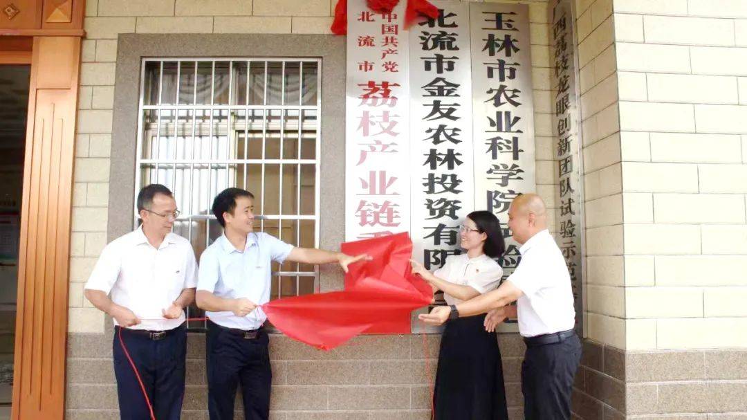 组织强链,先锋聚链,服务兴链——北流市荔枝产业链党委成立